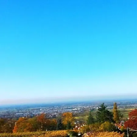 Schwarzwaldaussicht In Daire *